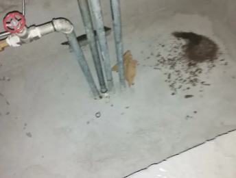 长葛卫生间测漏水价格明细